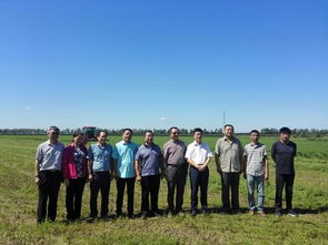 動(dòng)物營(yíng)養(yǎng)與飼料科學(xué)系黨支部開(kāi)展 兩學(xué)一做 主題實(shí)踐活動(dòng)